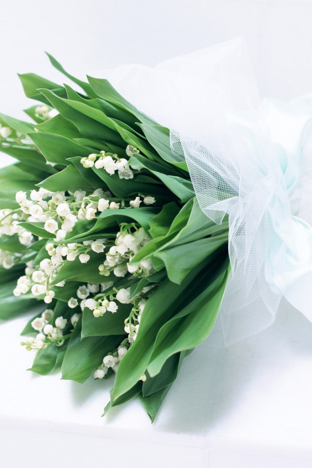 Чистые духи