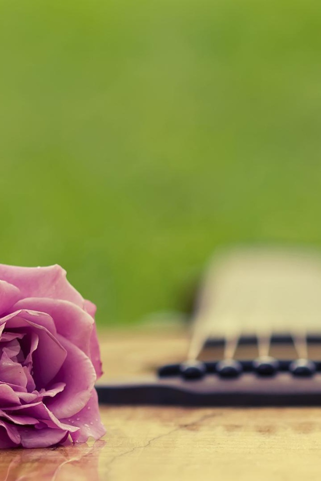 Фиолетовая роза на гитаре