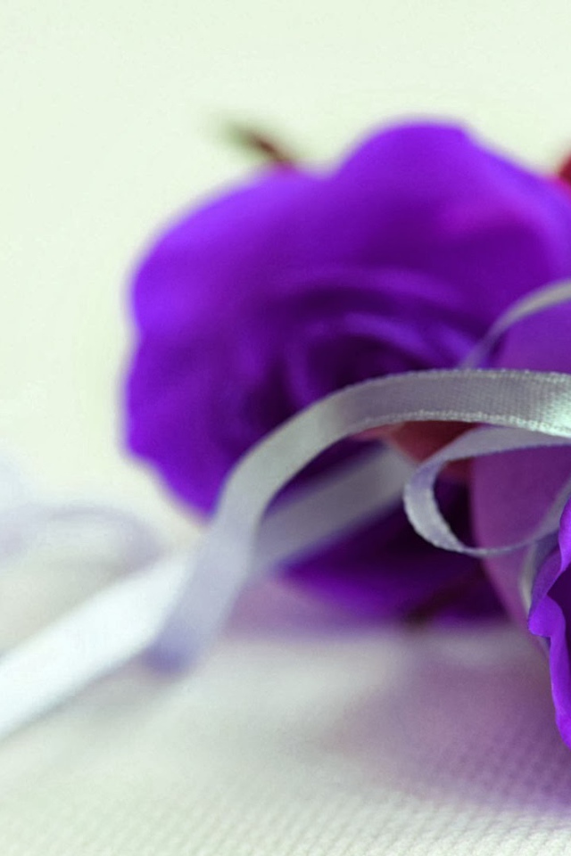 Фиолетовые розы с серебристой ленточкой