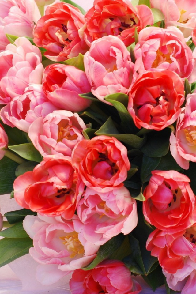 Красный букет