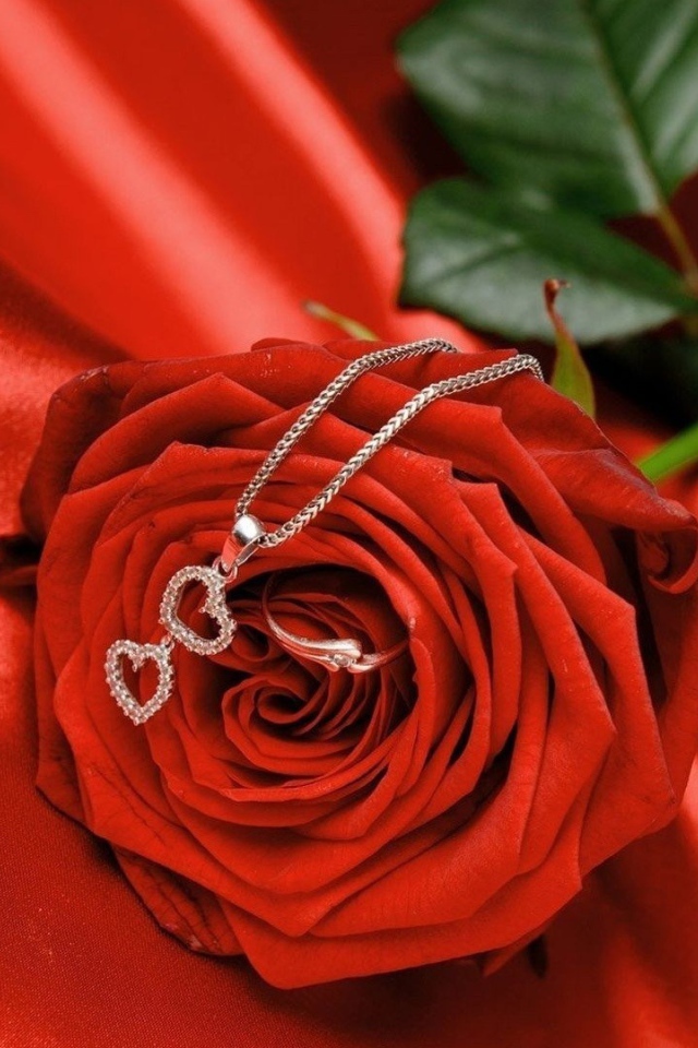 Красная роза и кулон