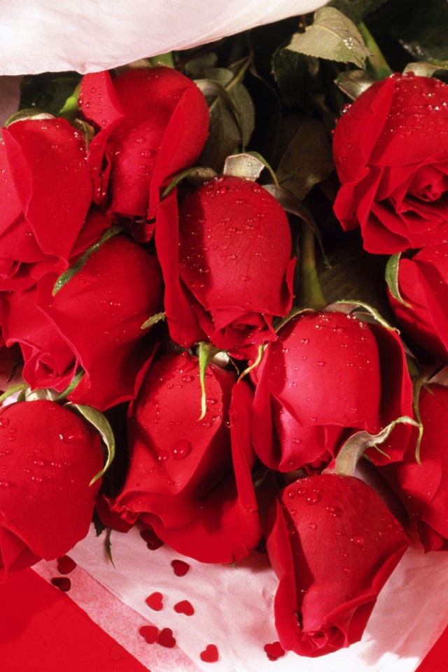 Романтические розы