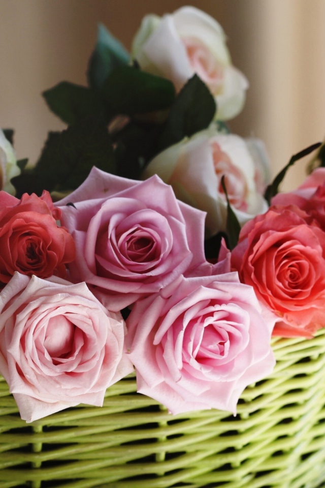 Розы в корзине
