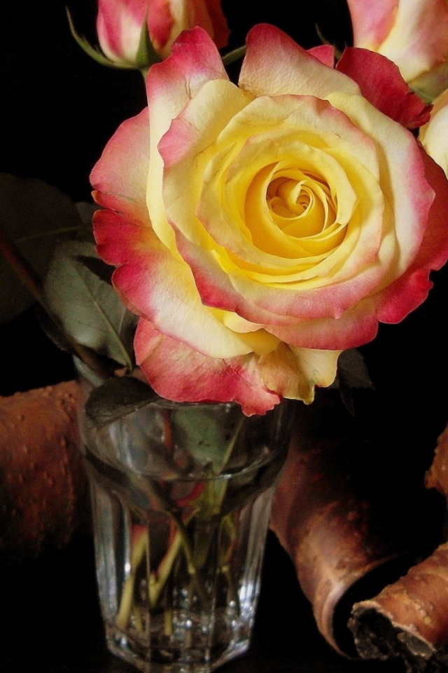 Розы в стакане