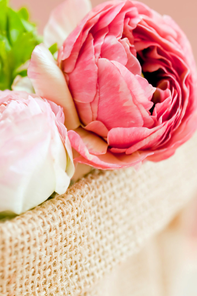 Корзина красивых пионов