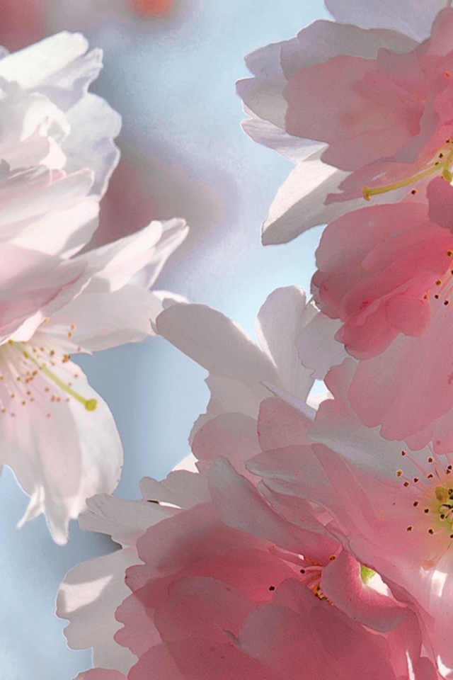 Розовый мягкий букет