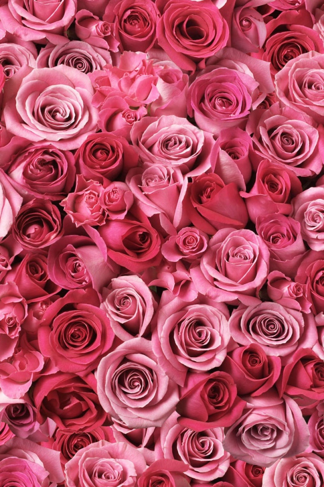 Спирали любви 