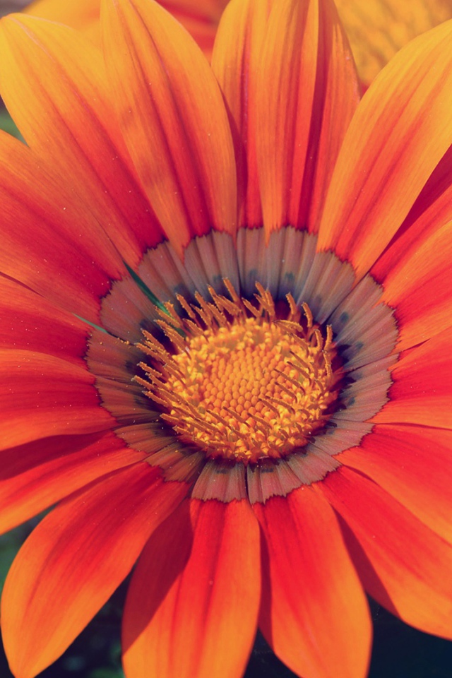 Весенняя любовь