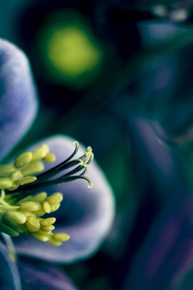 Время весны