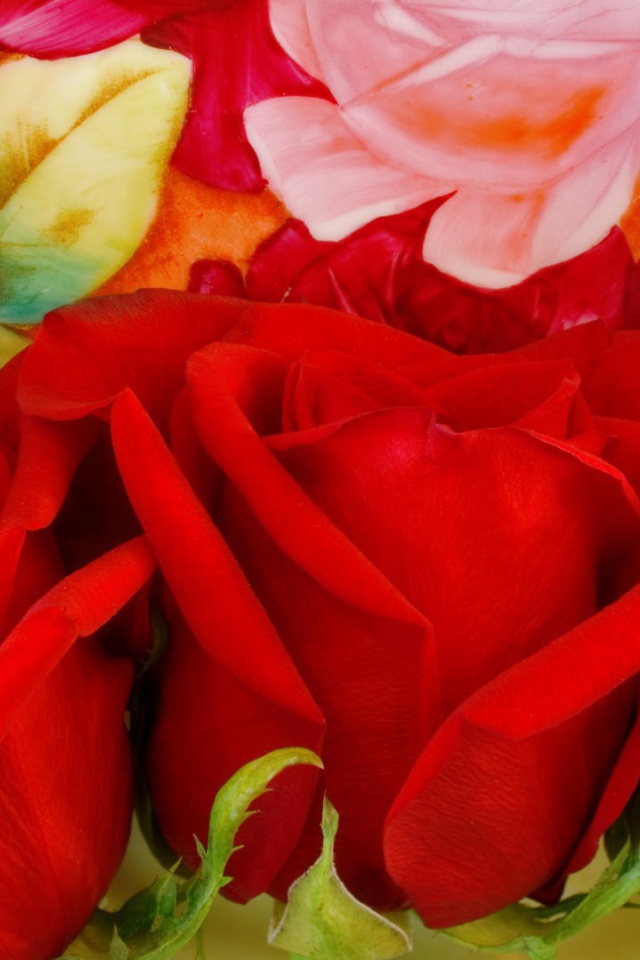 Три красных розы