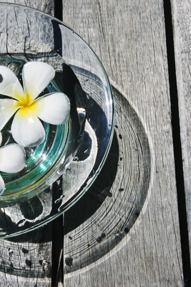 белая композиция