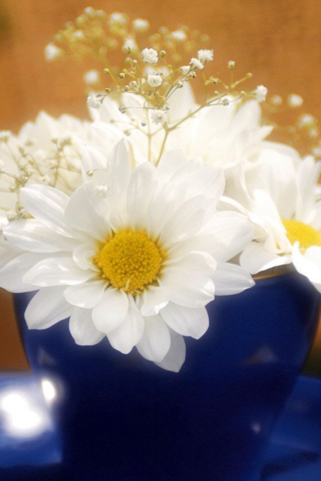 Белые светящиеся цветы