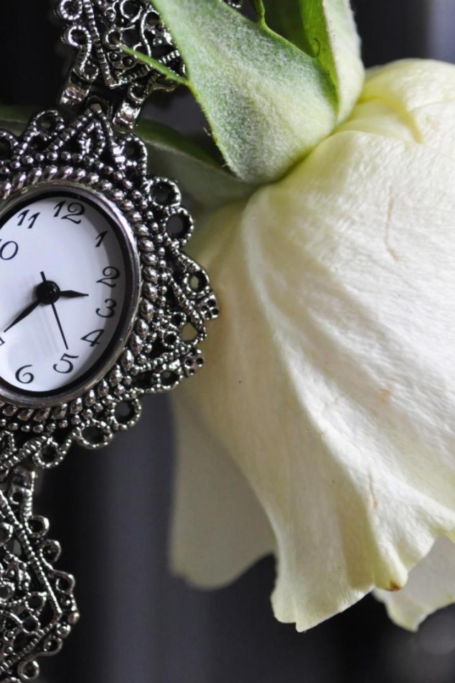Белая роза и часы