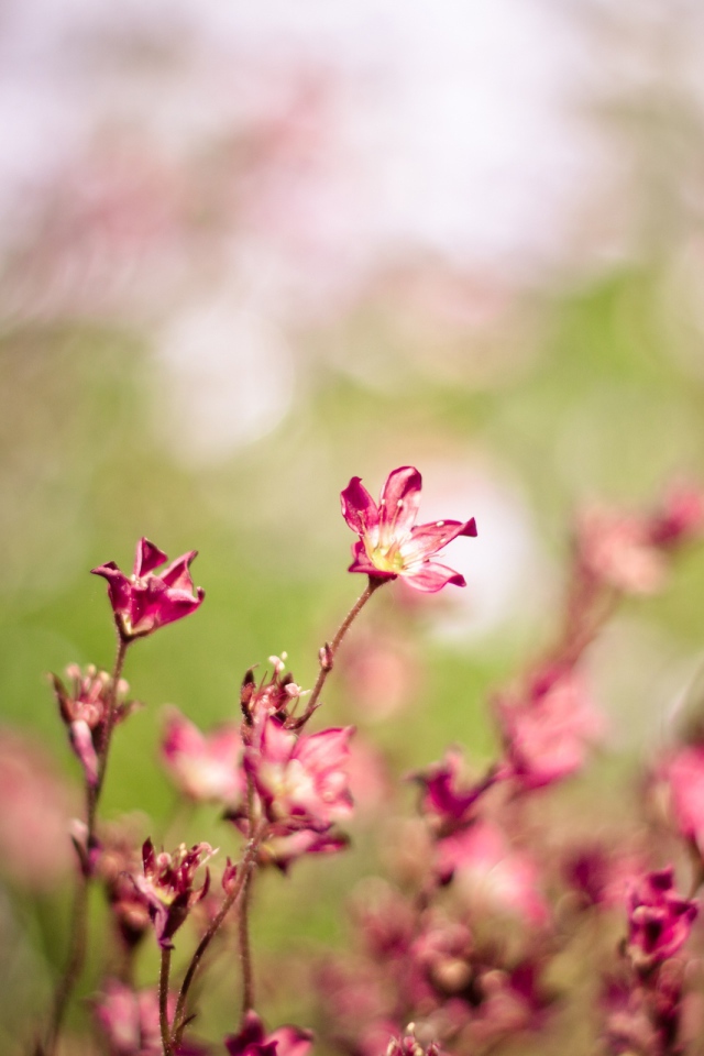 Колебания ветра