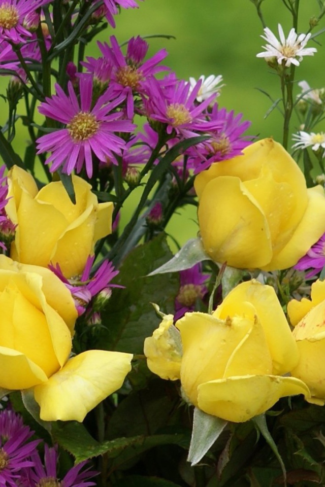 Жёлтые розы и другие цветы в букете