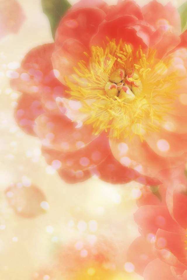 Летящие лепестки