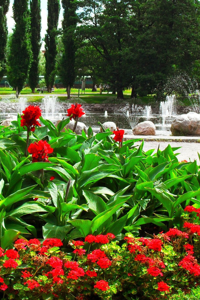 Цветочная клумба у фонтана