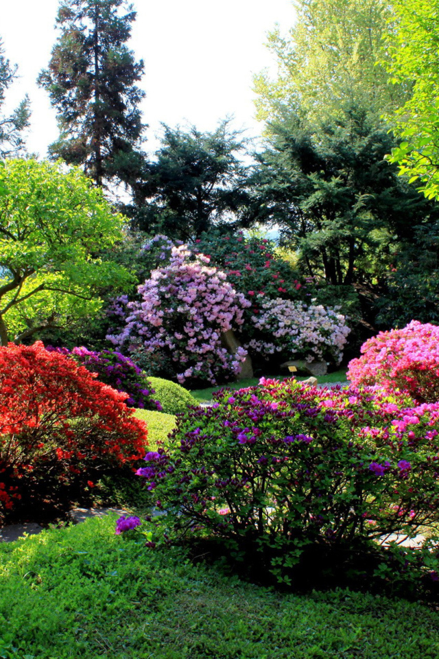 Аллея в парке