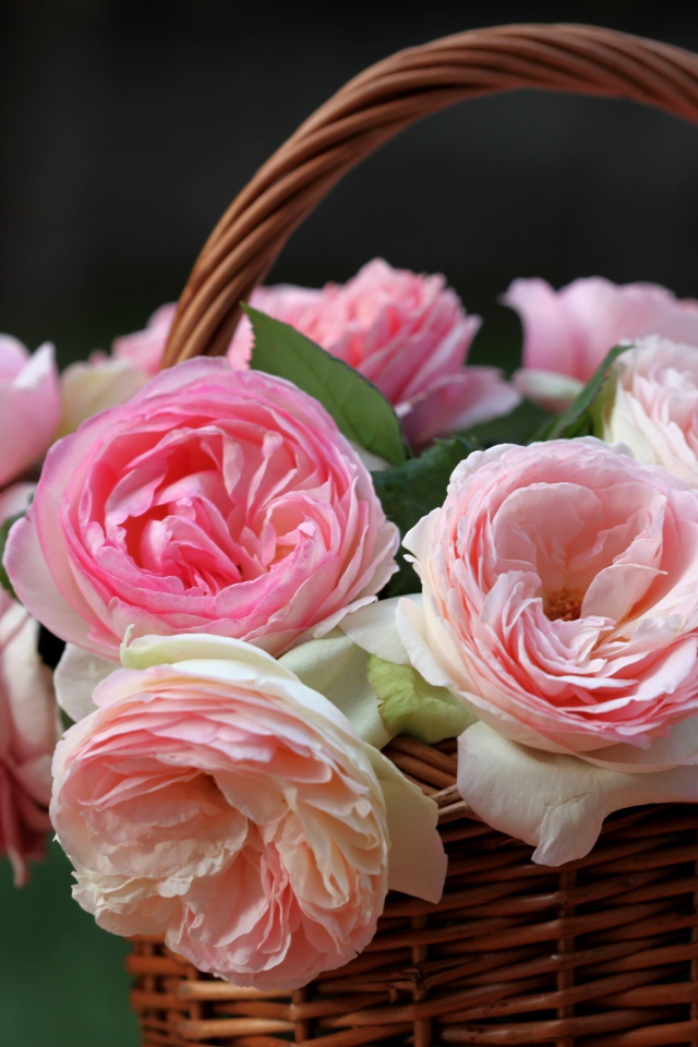 Корзина розовых цветков