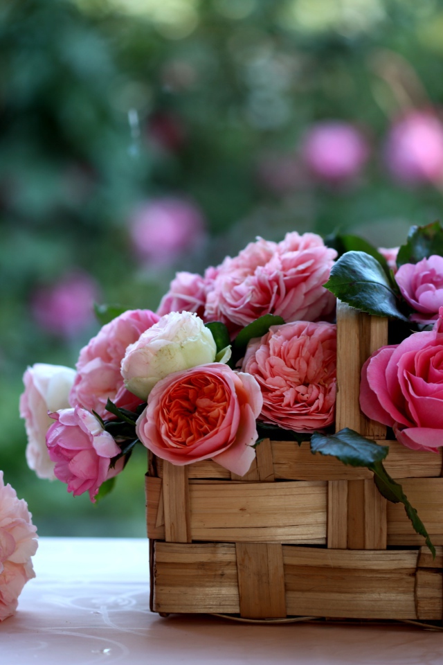 Корзина с розами