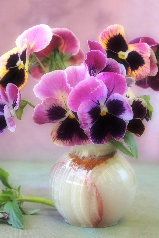 Букет фиалок