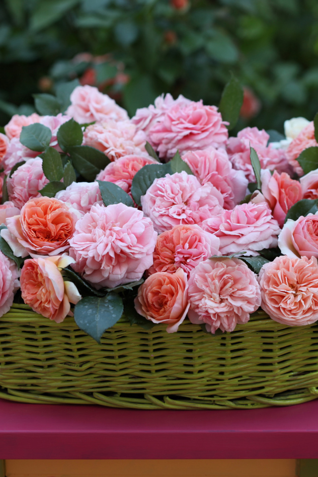 Цветы в зеленой корзине