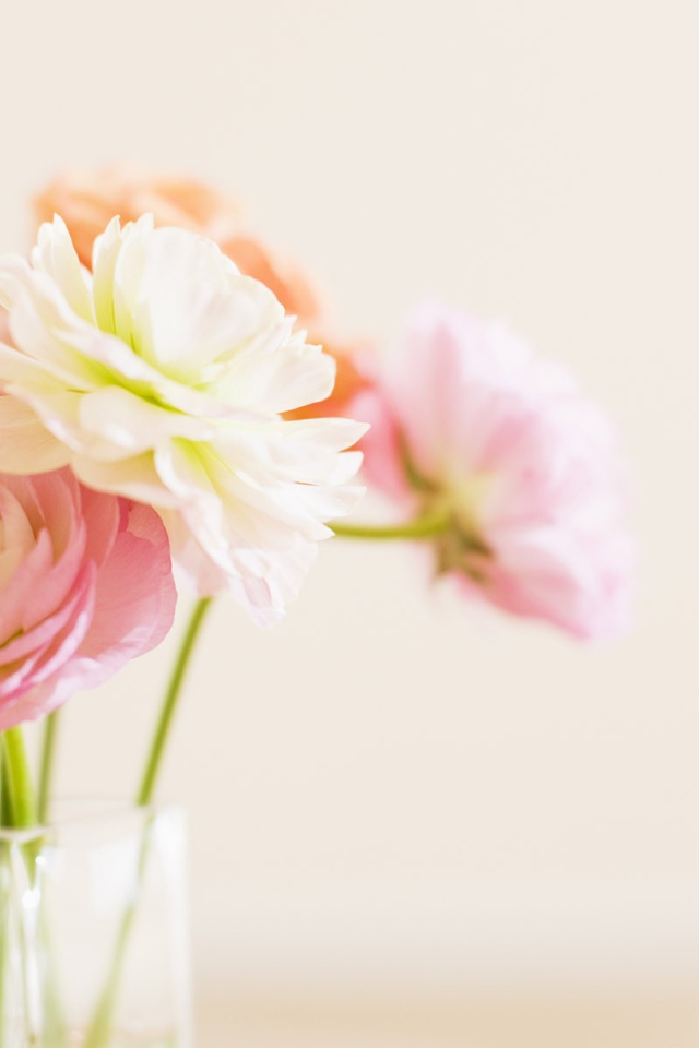 Цветы в стеклянном кувшине