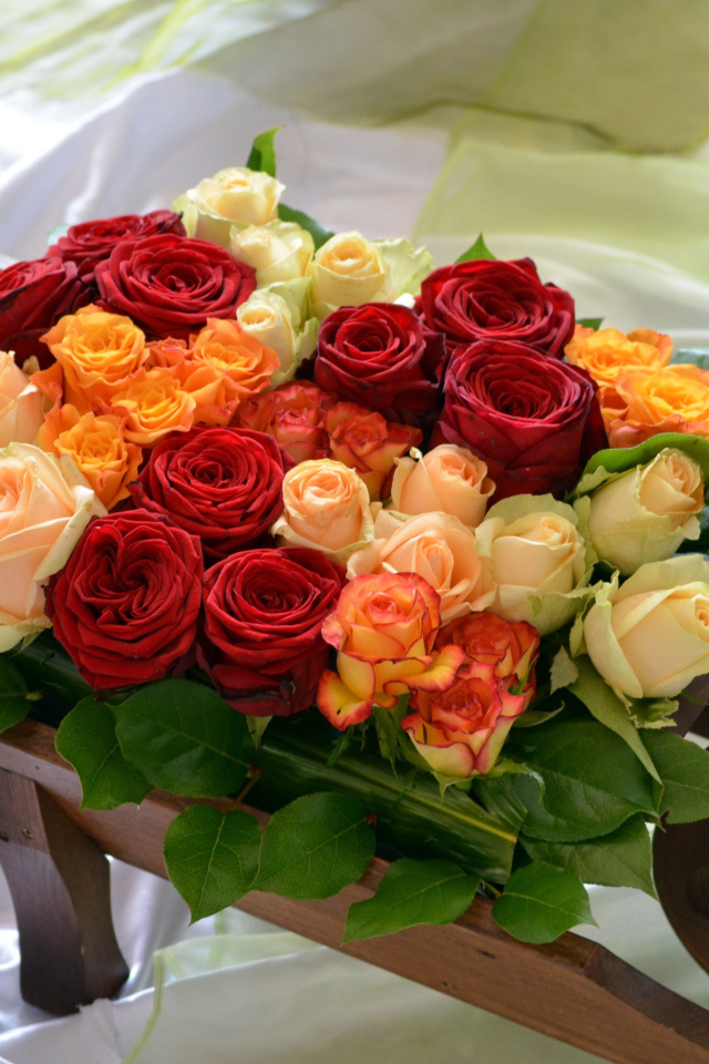 Разноцветные розы на тачке