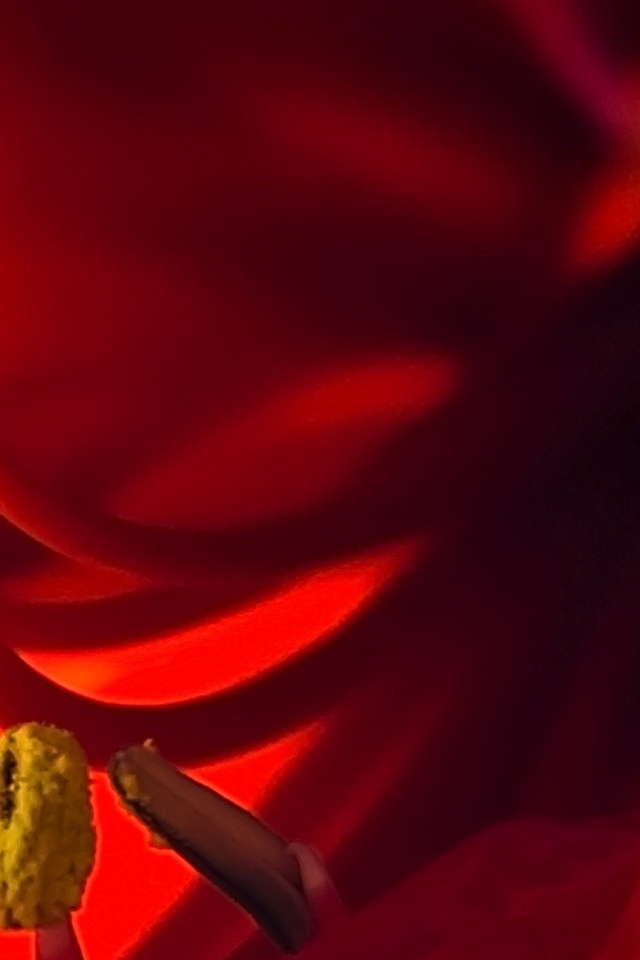 Пестики красного цветка