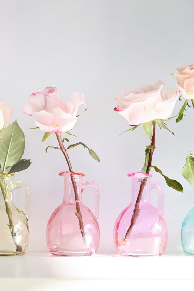 Розы в стеклянных кувшинах