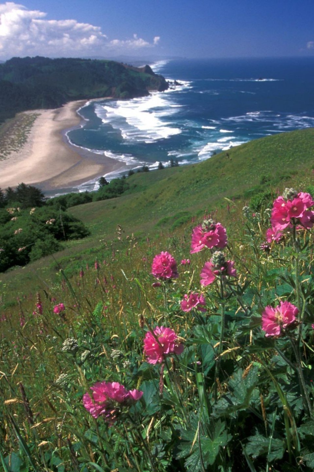 Вид на море с горы