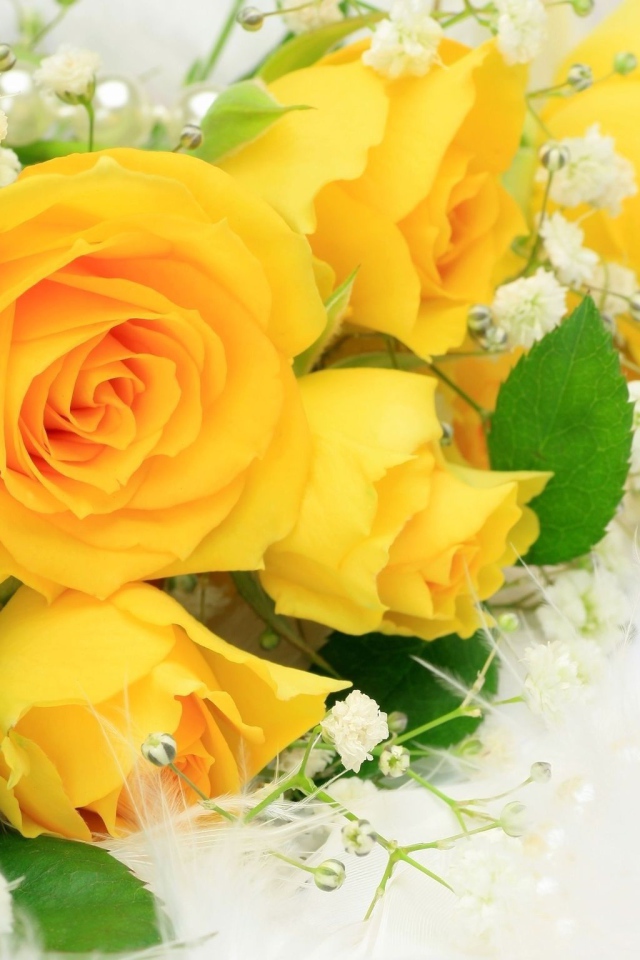 Желтые розы с белыми цветами