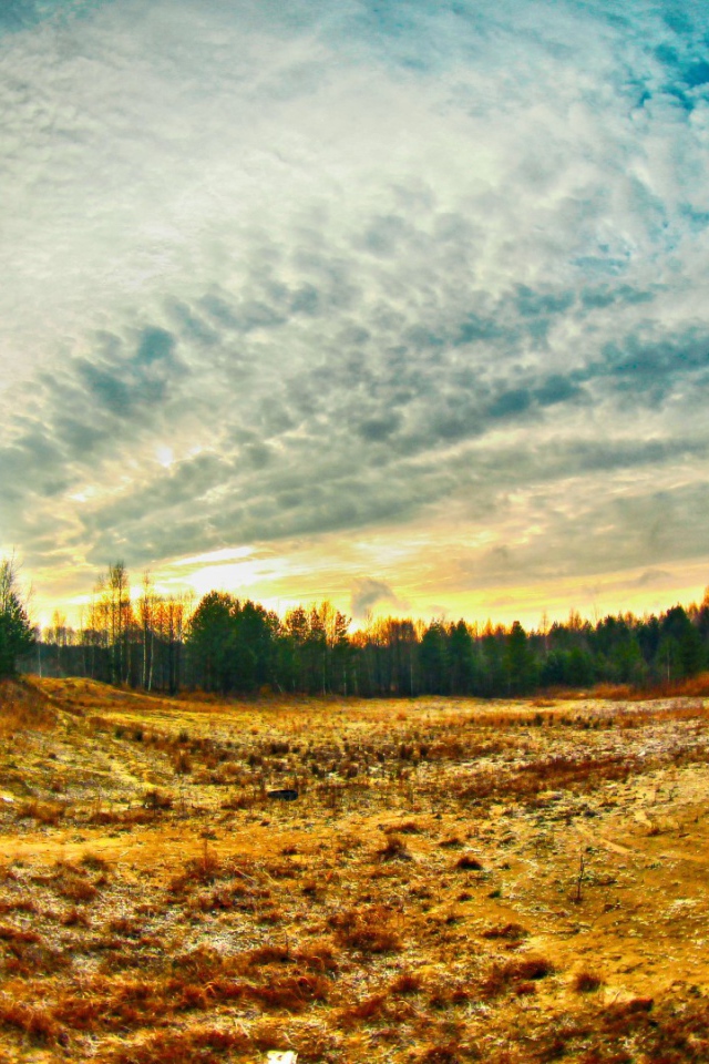 Просека в лесу