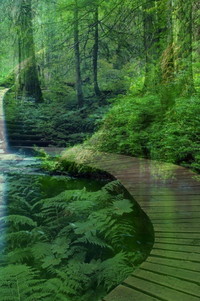 Лесной пейзаж с водопадом