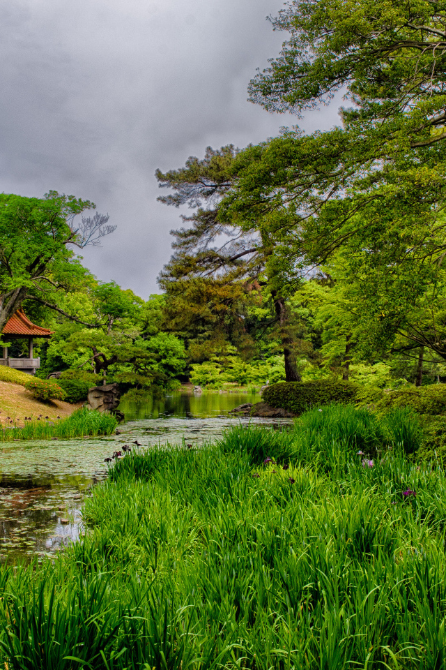 Домик в лесу