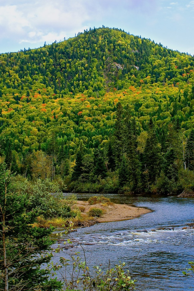 Гора покрытая лесом