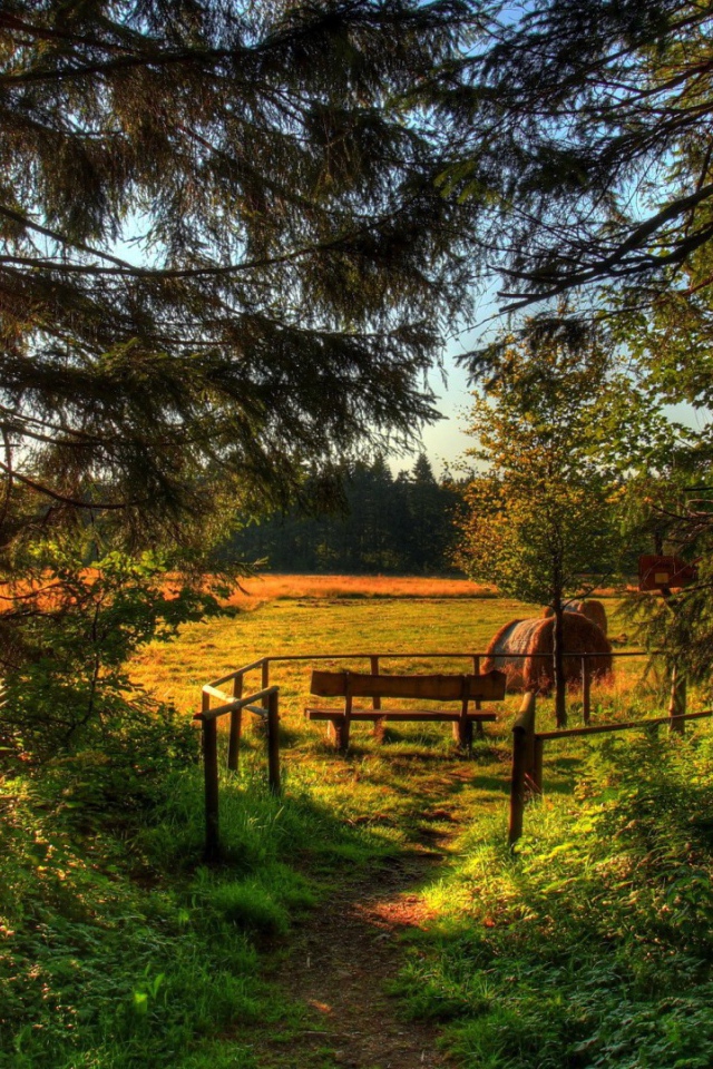 Летняя полянка