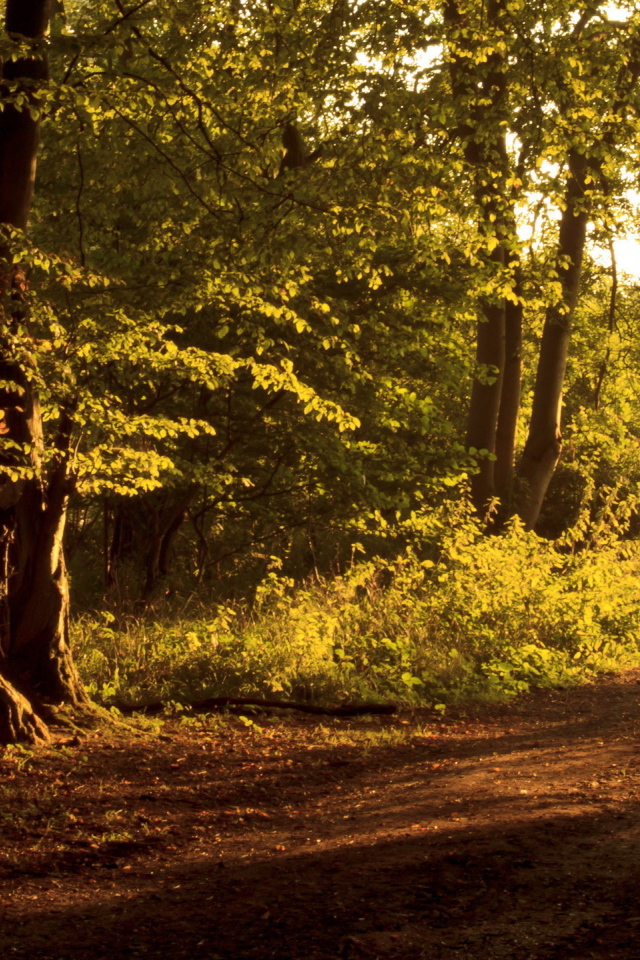 Забор на дороге