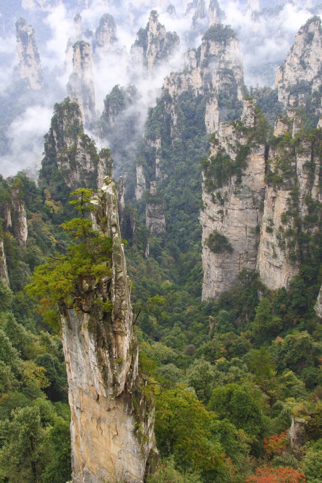 Лес на каменных столбах