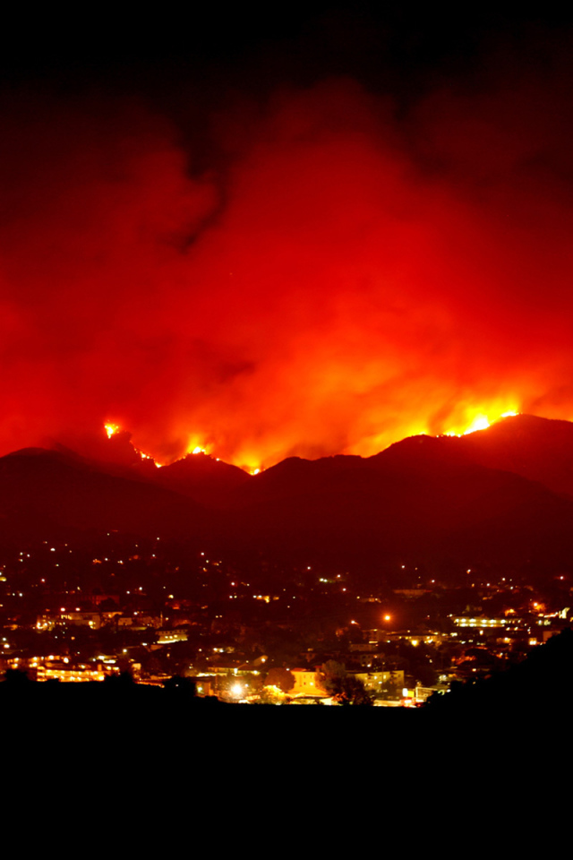 Лесной пожар