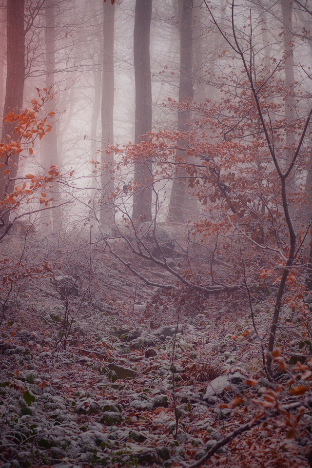 Поздняя осень