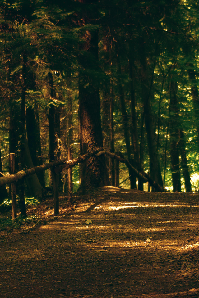 Тропа в парке