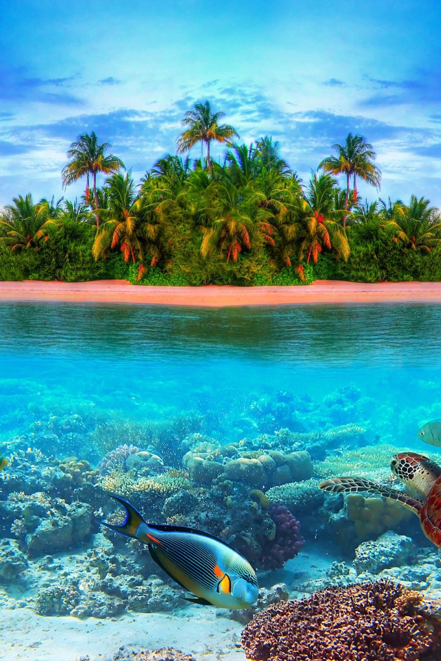 Остров в тропиках