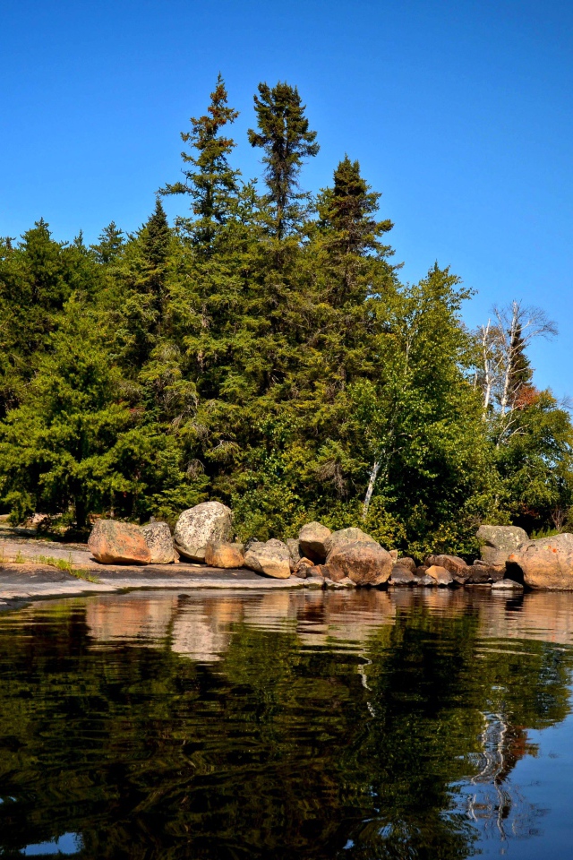 Поросший лесом остров