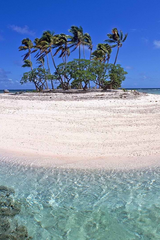 Маленький остров с деревьями