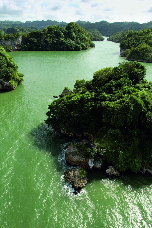 Зеленые острова