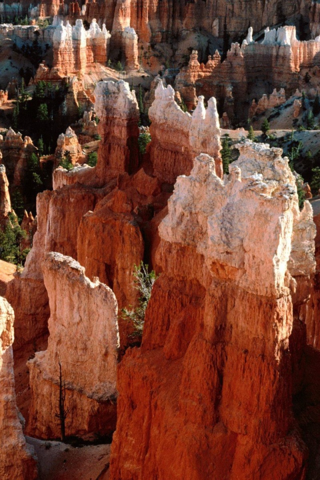 Каньон Брюс