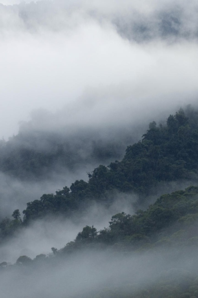 Эквадорские туманы в горах