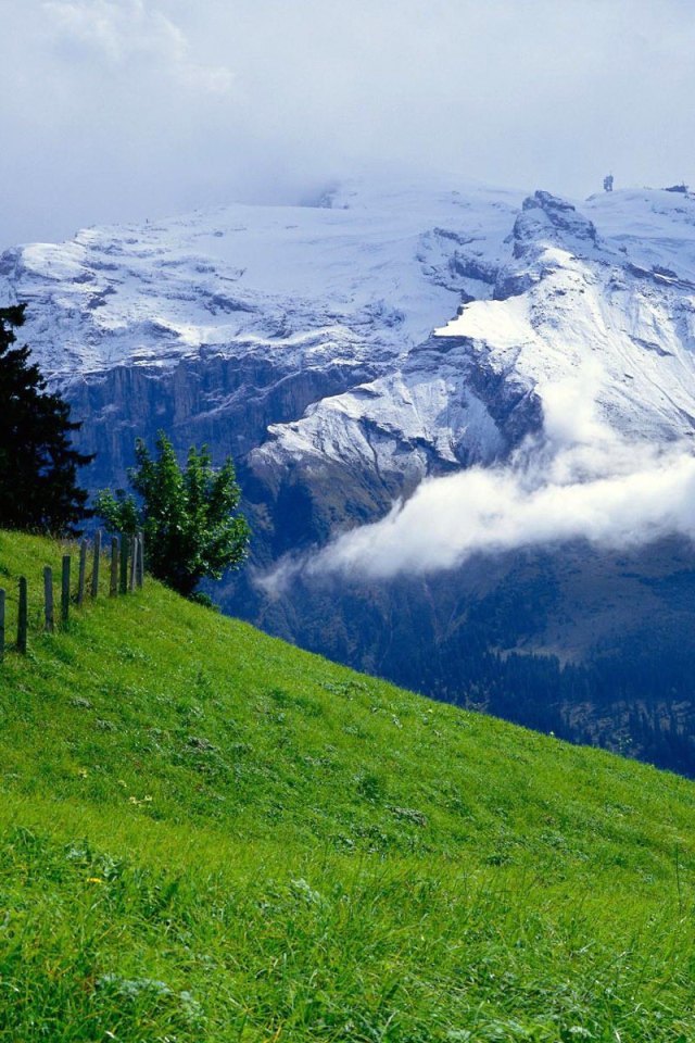 Зеленый луг и снежные горы