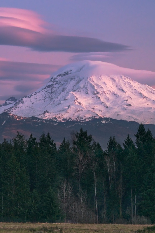 Гора Райнер в Сиетле